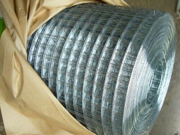 Welded Wire Mesh